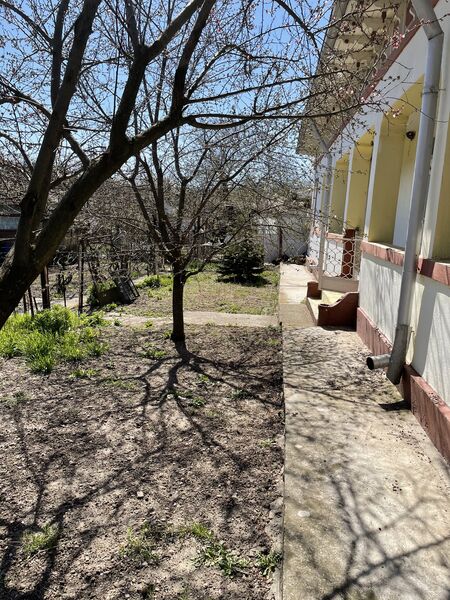 Nana, jud. Calarasi.